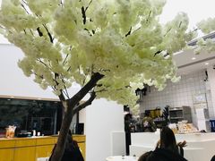 大堂-艾薯夫妇Aysh(福田星河COCOPark店)