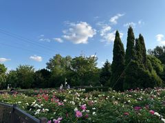 -黑龙江省森林植物园