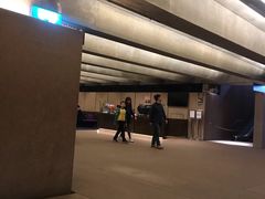 -悉尼歌剧院