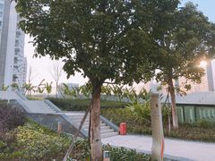 -深圳来福士广场