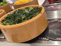 -龍歌自助小火锅(漳州二路爱购店)