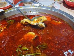 -蜀滋香鲜鱼美蛙火锅(339店)