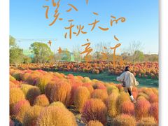 -花开海上生态园