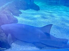 -常州海昌海洋探索馆