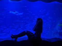 -太平洋海底世界