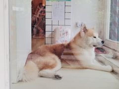 -餐酒吧Com-ing Bar(上海路店)