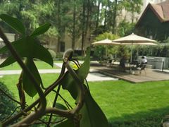 -一尺花园(安和花园店)