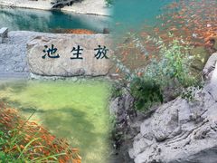 -楠溪江风景名胜区