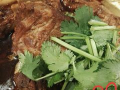 -友乐居羊蝎子(西直门店)