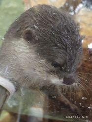 -Zoolung Zoolung动物主题公园(海信广场店)