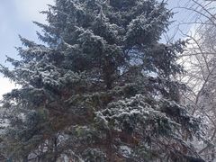 -同州传统面馆(东大街)