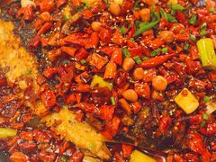 -锦尚阁烤鱼(望京新荟城店)