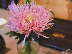 -HUATA 'Holiday Plan 花榻