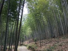 -广州市石门国家森林公园