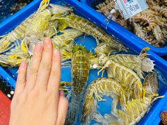 -吴记富苑(朝阳店)