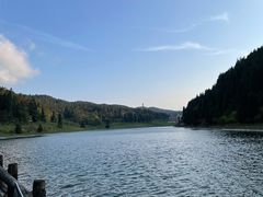 -武陵山森林公园