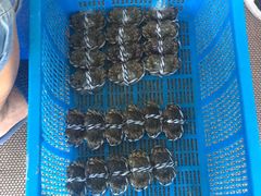 -丫丫蟹庄·苏式园林农家乐·阳澄湖大闸蟹(阳澄湖莲花岛店)