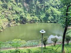 -火炉山森林公园