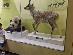 -国家自然博物馆