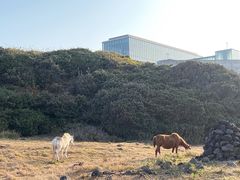 -涉地可支