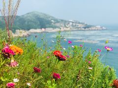 -枸杞岛