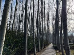 -仁和公园(顺义区)