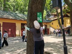 -狼山风景名胜区