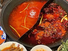 -朱光玉火锅馆(正弘城店)