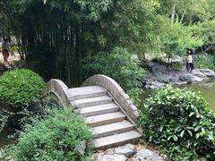 -汇龙潭