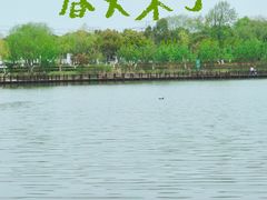 -九里河湿地公园