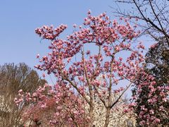-玄武湖景区-情侣园游乐场