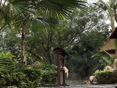 -海兰云天度假区温泉
