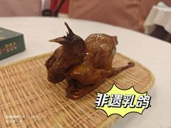 -五谷芳乳鸽王(海景店)