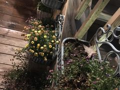 -索纳斯咖啡(海安路店)