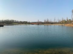 -白鹭湾湿地公园