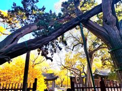 -晋祠公园