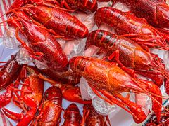 -二钳洞庭虾蟹·江湖菜(鹭岛店)