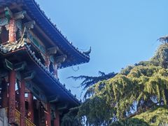 -南京市规划建设展览馆