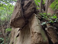 -大岭沟猕猴桃谷风景区