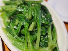 -禧福徕盆盆香川菜馆(北京市朝阳区)