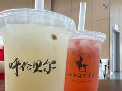 -呼和诺尔旅游景区