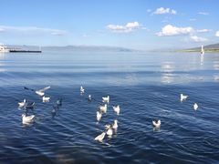-青海湖国家重点风景名胜区
