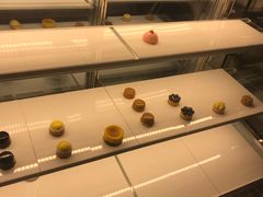 -时光花园(白鹭洲店)