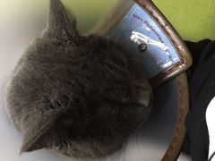 -惠康宠物医院(华能路店)