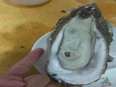 -蚝专家(北滘店)