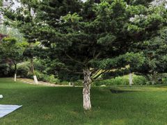 -重庆中央公园(渝北区)