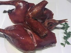 -甄御•海鲜新青岛菜(麦岛店)