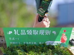 -中国艺术研究院油画院