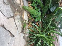 -花苑里咖啡(威远店)