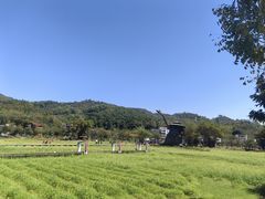 -红山村
